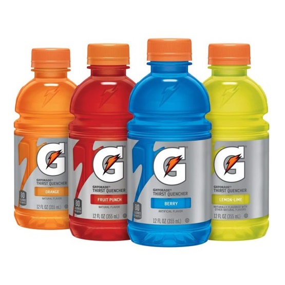 Gatorade Perform Club 591ml (1x28)